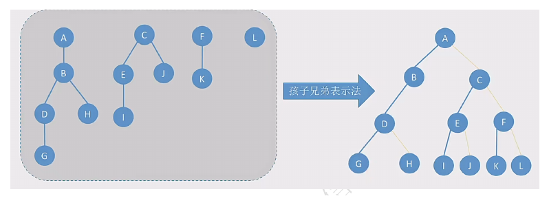 DS-L18-森林转二叉树.png