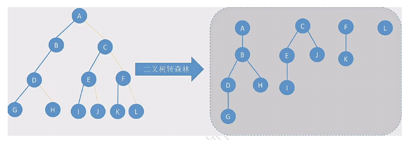 DS-L18-二叉树转森林.png